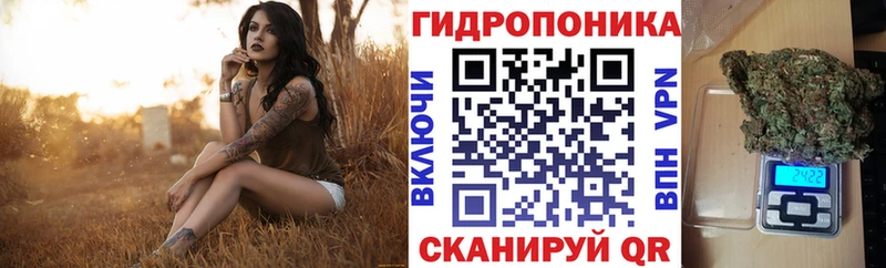 Наркошоп купить Кокаин МЕФ ГАШ СОЛЬ Конопля Чегем