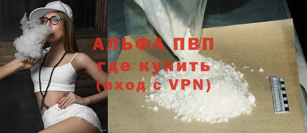 круглые Гусев