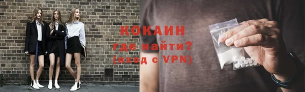 круглые Гусев
