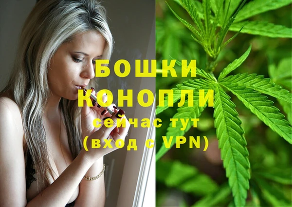 круглые Гусев