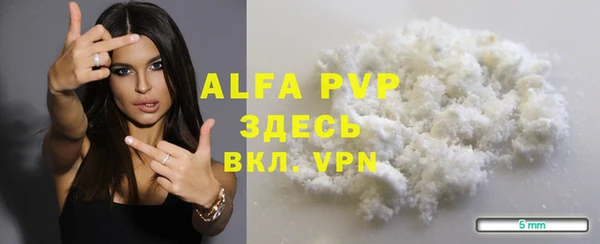 круглые Гусев