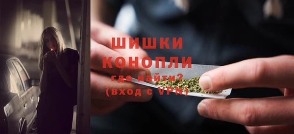 круглые Гусев