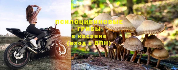 круглые Гусев