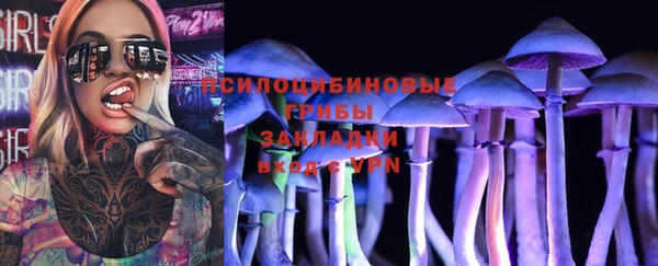 круглые Гусев
