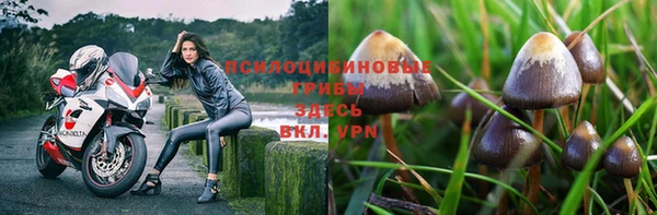 круглые Гусев