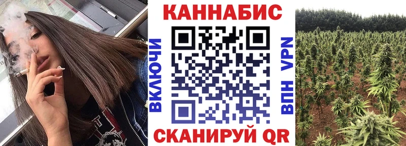 Купить  Чегем  Канабис AK-47 